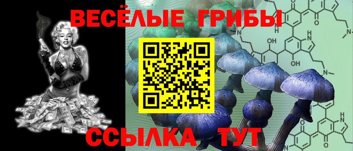 Галлюциногенные грибы MAGIC MUSHROOMS  Вход с VPN  Муравленко 